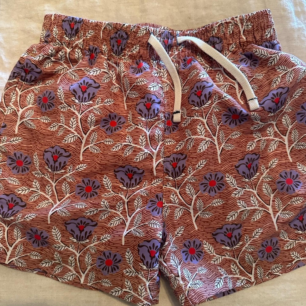 Size 6 Pink Chicken/Blue Rooster Goa Swim Trunks.